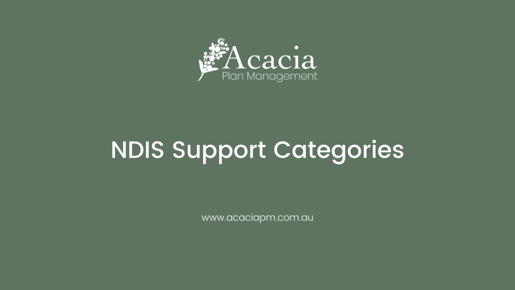 disability-services-plan-management-NDIS-services-support-categories