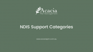 disability-services-plan-management-NDIS-services-support-categories